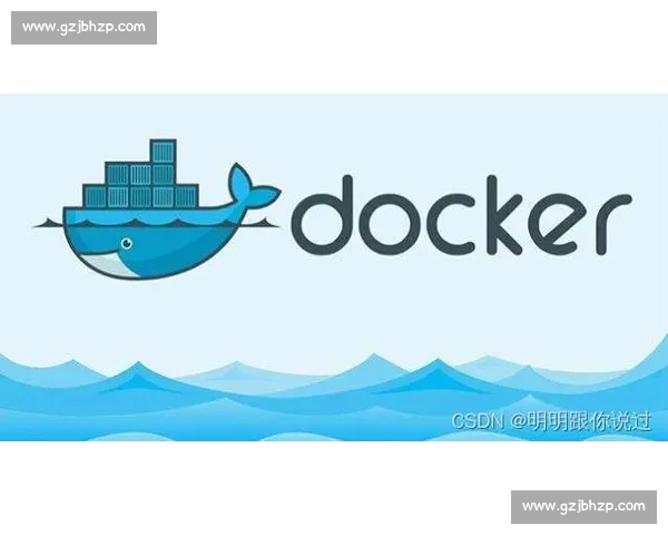 柏迪逊与全球市场竞争力的深度解析及未来发展趋势展望